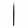 BTY Brush - 509 BTY Brushes